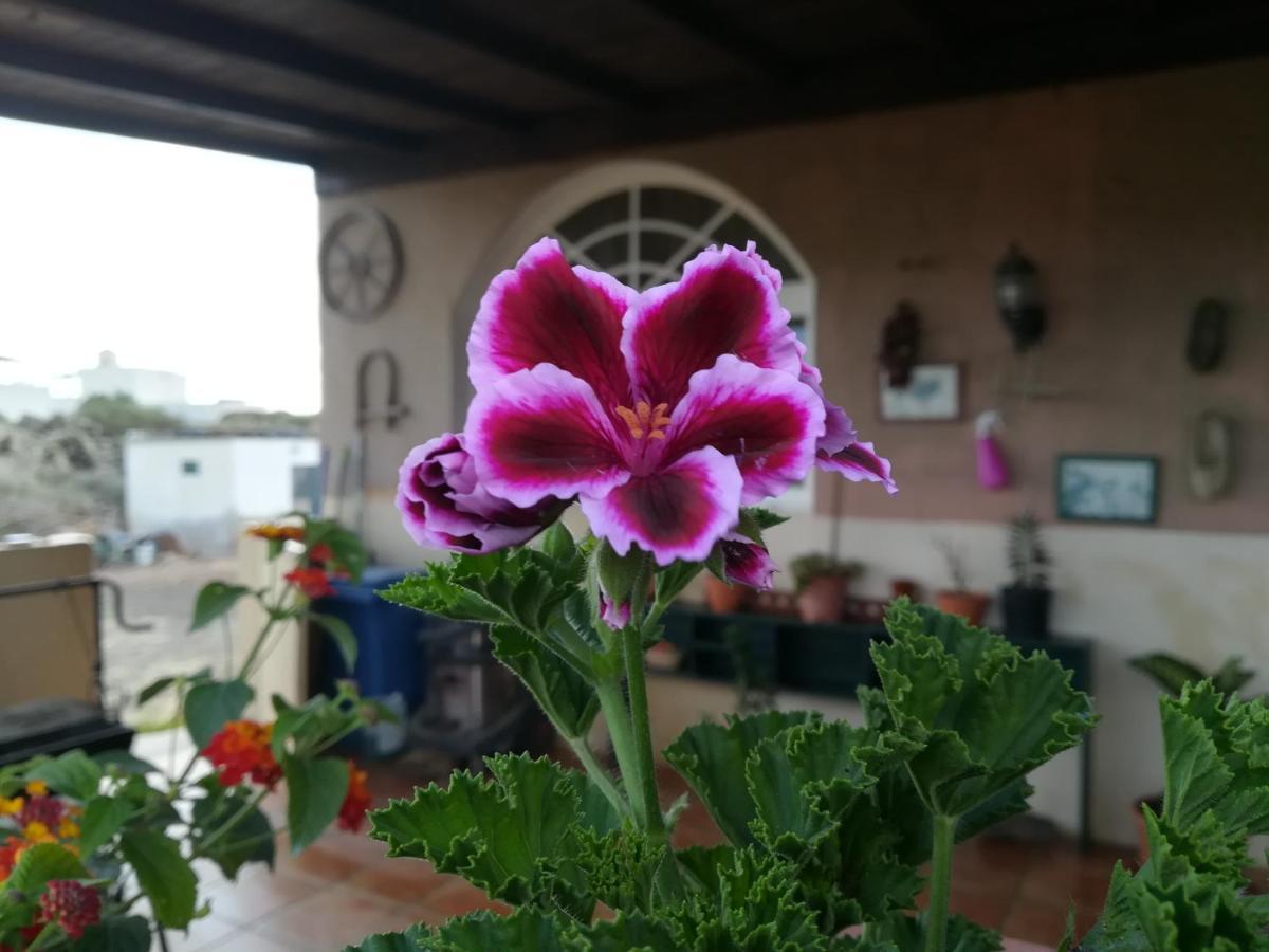 Casa Papi Διαμέρισμα Lajares Εξωτερικό φωτογραφία